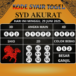 Kode Syair Togel SDY Akurat Hari Ini Minggu, 29 Juni 2025