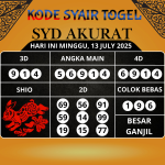 Syair Togel SDY Paling Akurat Hari Ini Minggu, 13 Juli 2025