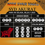 Kode Syair Togel SDY Akurat Hari Ini Selasa, 08 Juli 2025